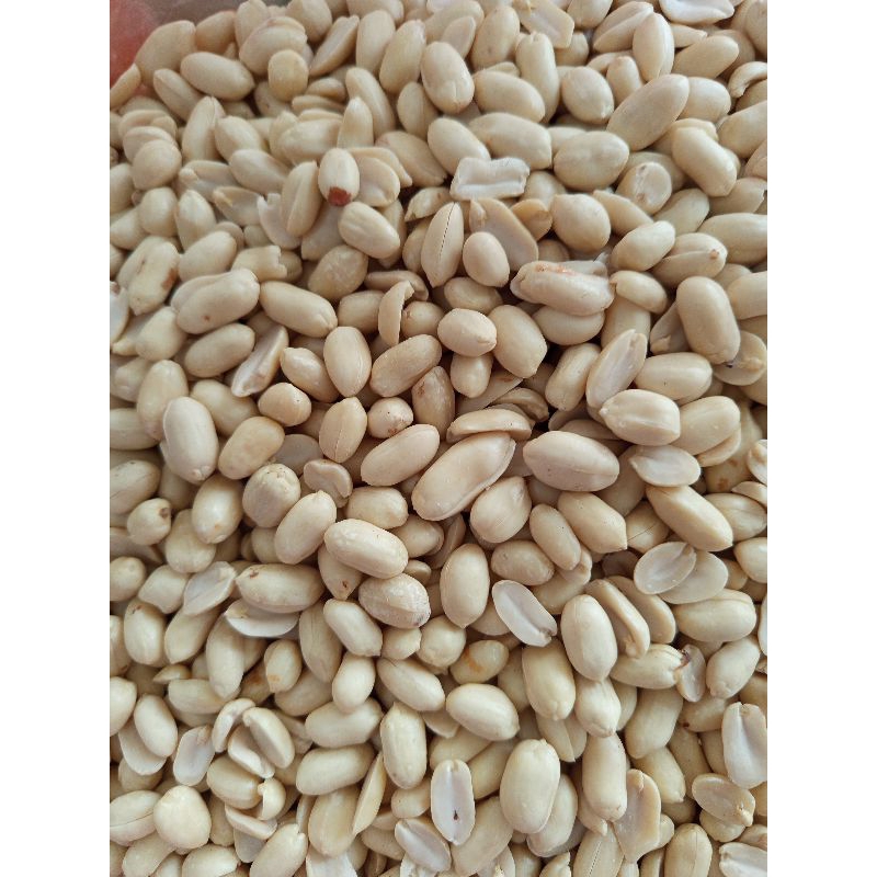 

Kacang Tanah Kupas Besar Impor India