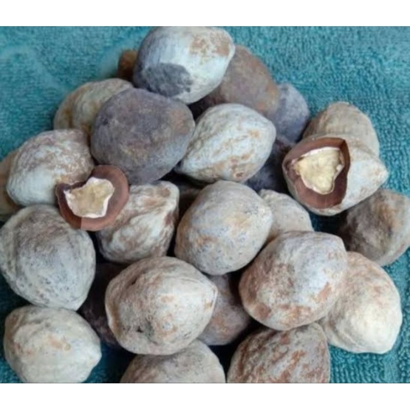 

muncang sayur utuh/kemiri 1kg