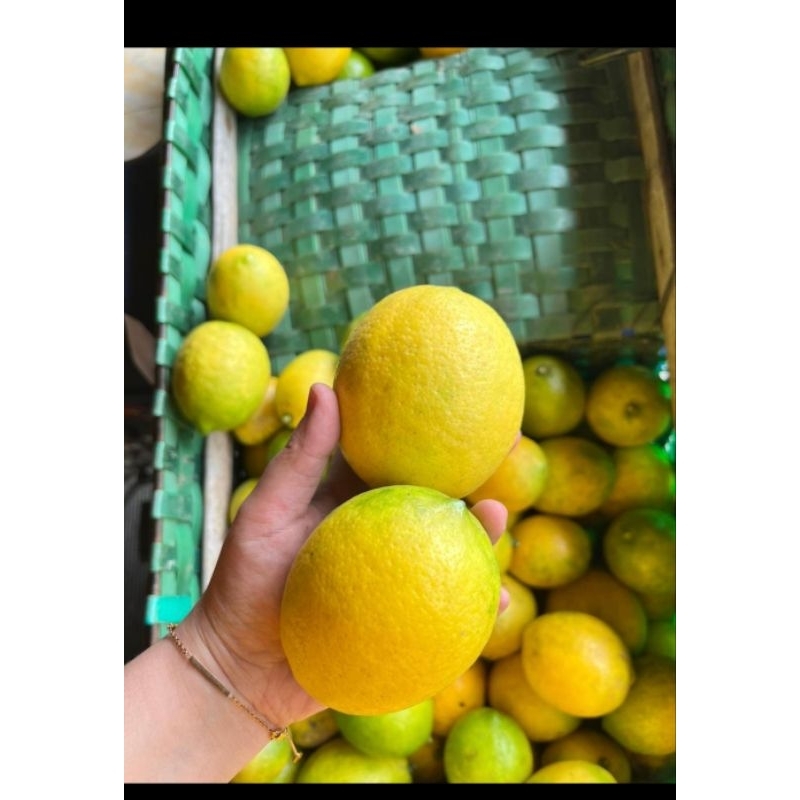 

jeruk lemon segar california 1kg