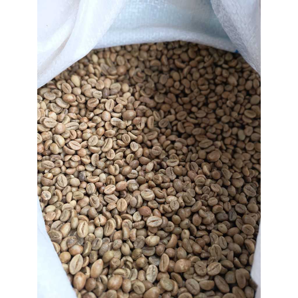 

Bakaranandia - Grosir Greenbean Kopi Robusta Temanggung 5Kg - Biji Kopi Mentah Shopee