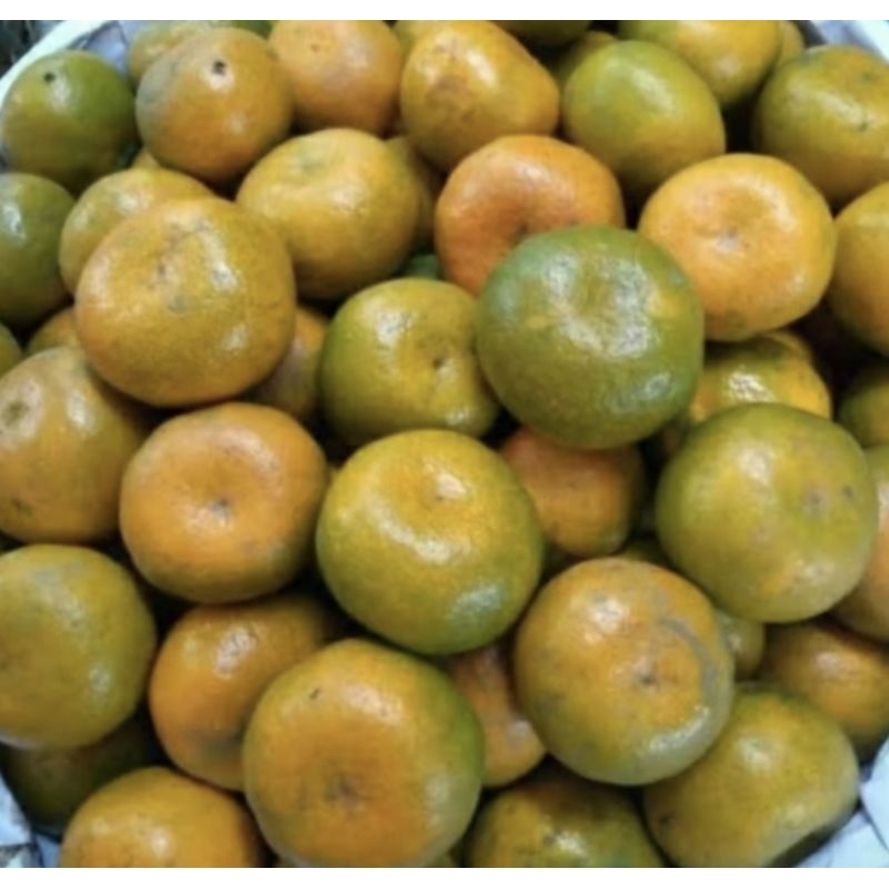 

JERUK SIEM MADU 1 KG SEGAR TERMURAH