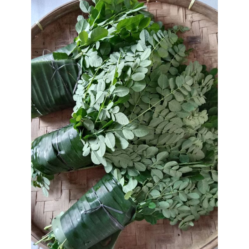 

Daun kelor segar 150 gr