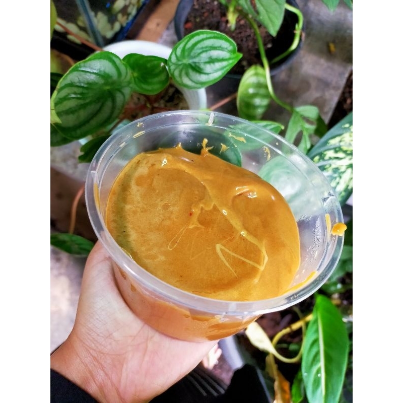 

Sambal Petis Mandar Banyuwangi Terotentik [Kiloan]