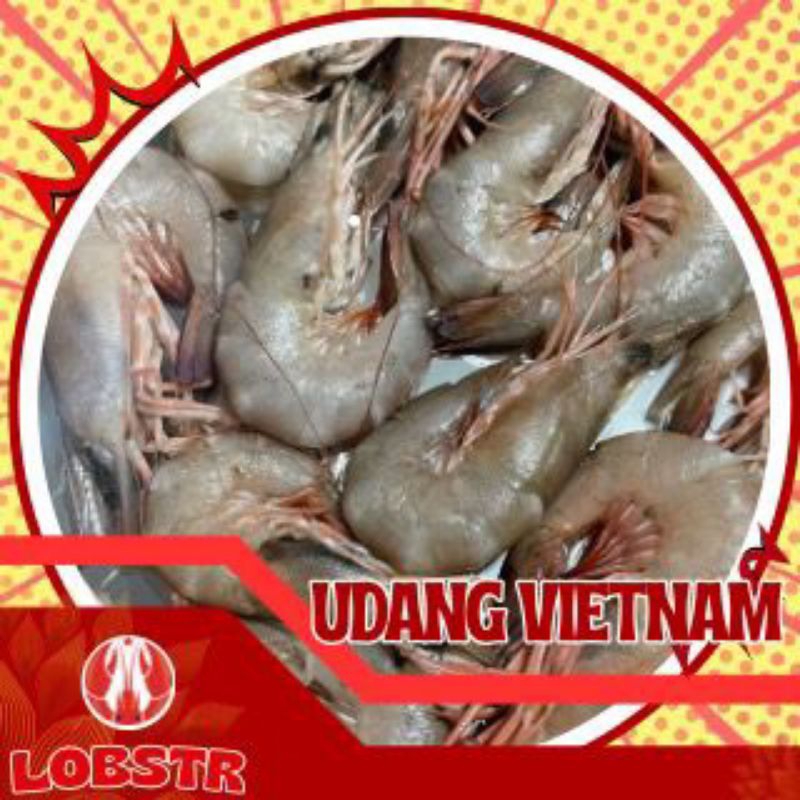 

Udang Vietnam Beku – Kualitas Ekspor 500gr | Fresh & Siap Masak