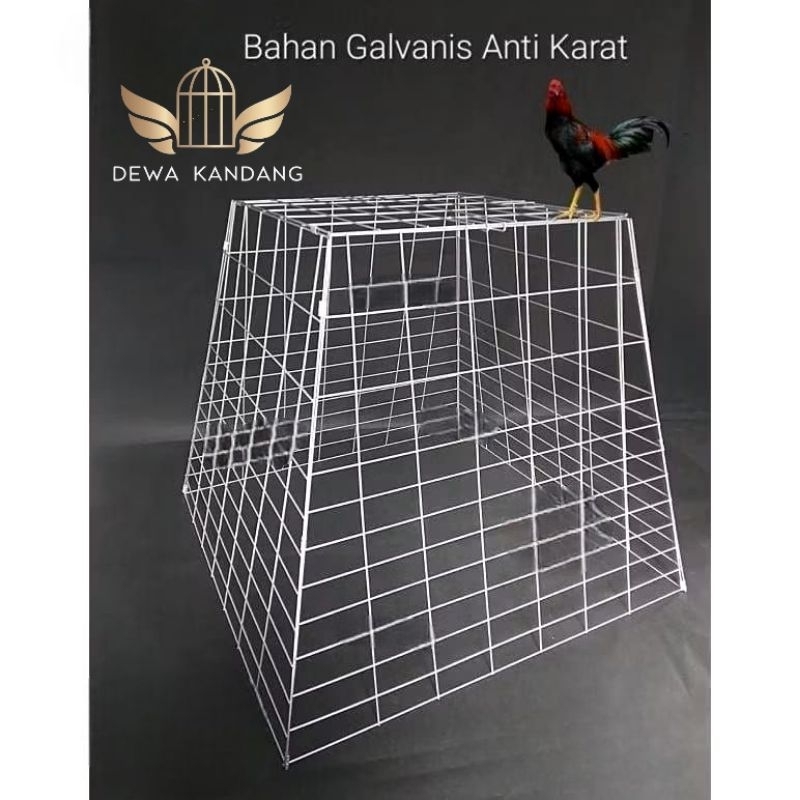 Kandang Ayam Bangkok Piramida Galvanis Lipat