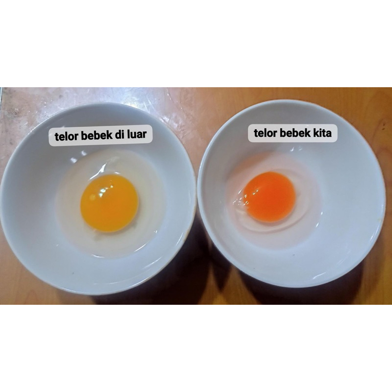 

[HANYA BISA SAMEDAY] Telur bebek Omega tanpa pewarna cantanxanthin dengan pakan protein 18%
