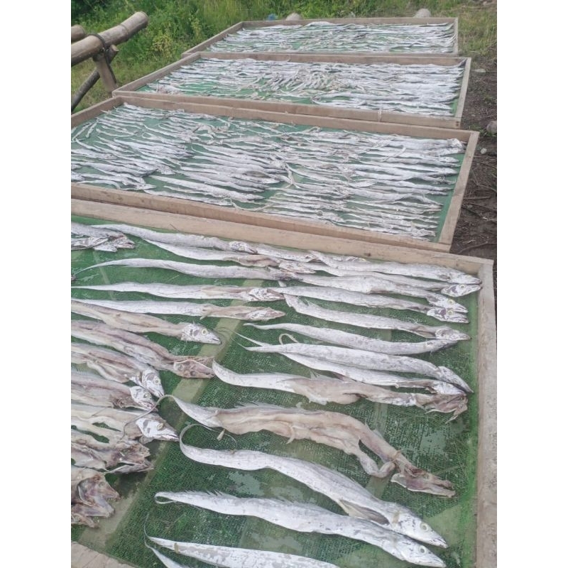 

Ikan Asin LAYUR SUPER