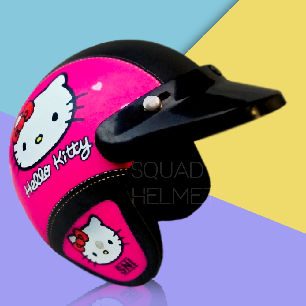 Helm pet helm bogo Dewasa Motif Karakter