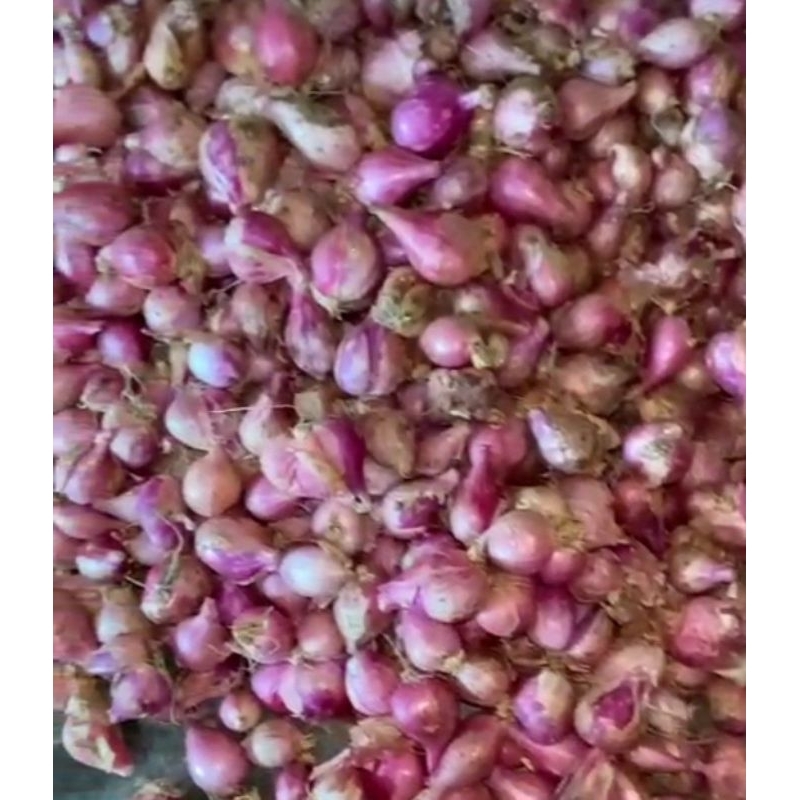 

Bawang Merah Lokal Kiloan Tanggung Kecil Sedang Campur Garing Sring