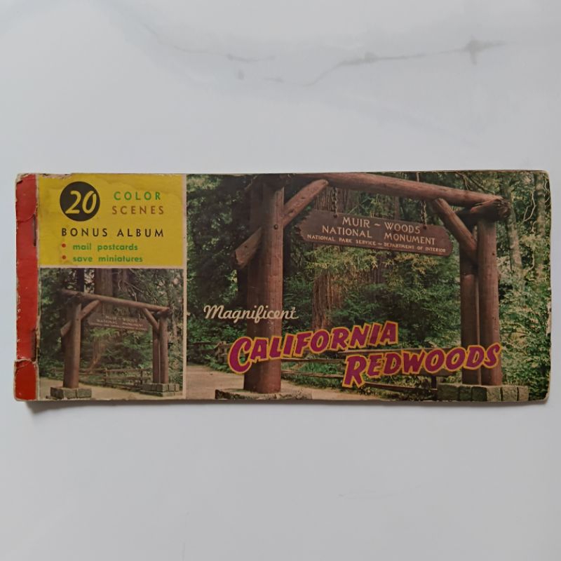 

Kartu Pos Kuno Jadul USA Seri Muir Woods National Monument 1960-1970 Set 10 Pcs - YN2398