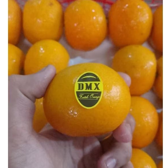 

Buah Jeruk Wokam dmx Jual Per 1 BOK Krat