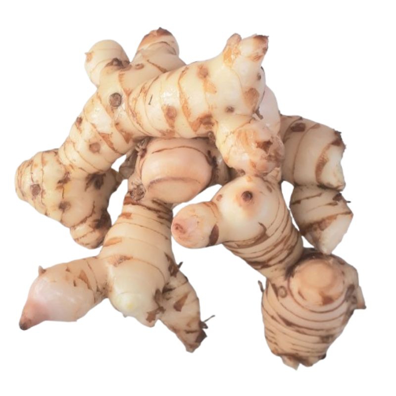 

Lengkuas Segar - Laos - 500gr - 1kg
