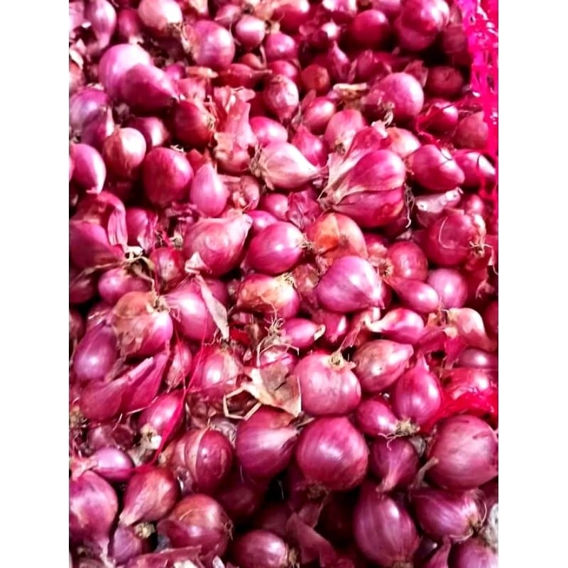 

2 kg Bawang merah uk tanggung sedang