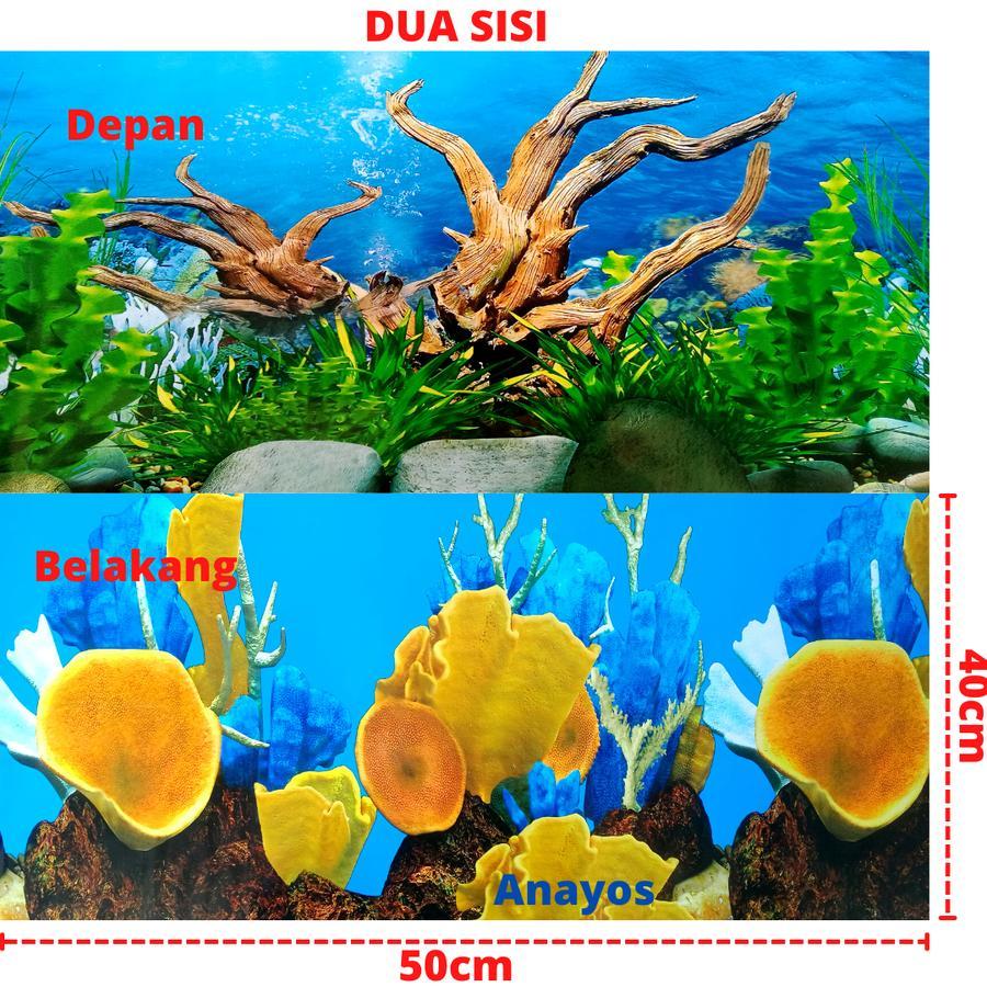 Wallpaper Background Aquarium Tinggi 40 Cm Panjang 50 Cm Motif 06