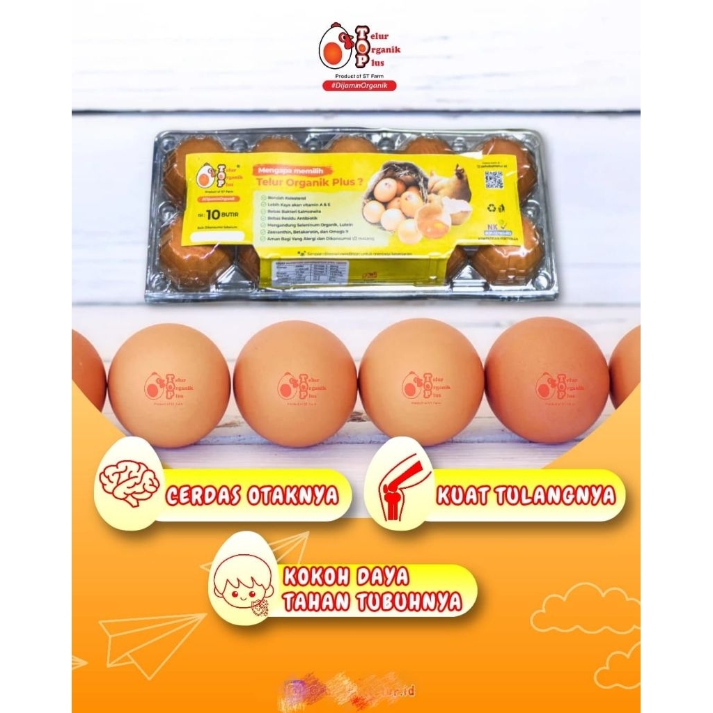 

Telur Organik Omega 3 TOP