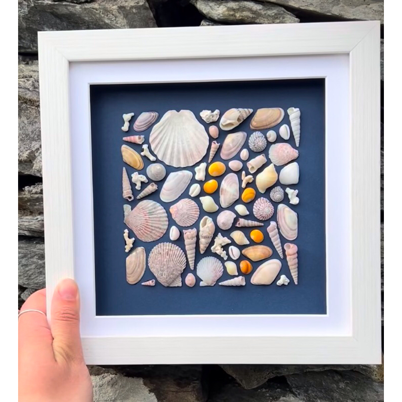 hiasan dinding kerang