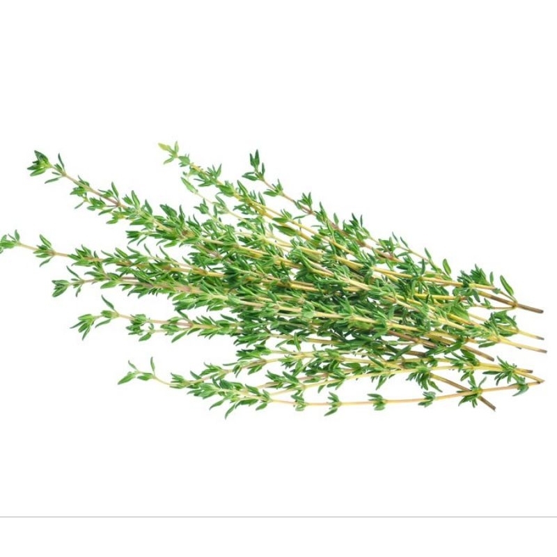 

JYOTI THYME TYME 100 GR