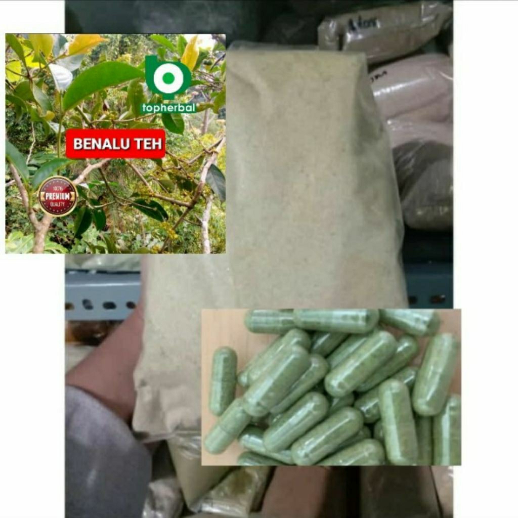 

Kapsul Benalu Teh Malang isi 100 Kapsul (Kering Hijau Organik Super Premium)