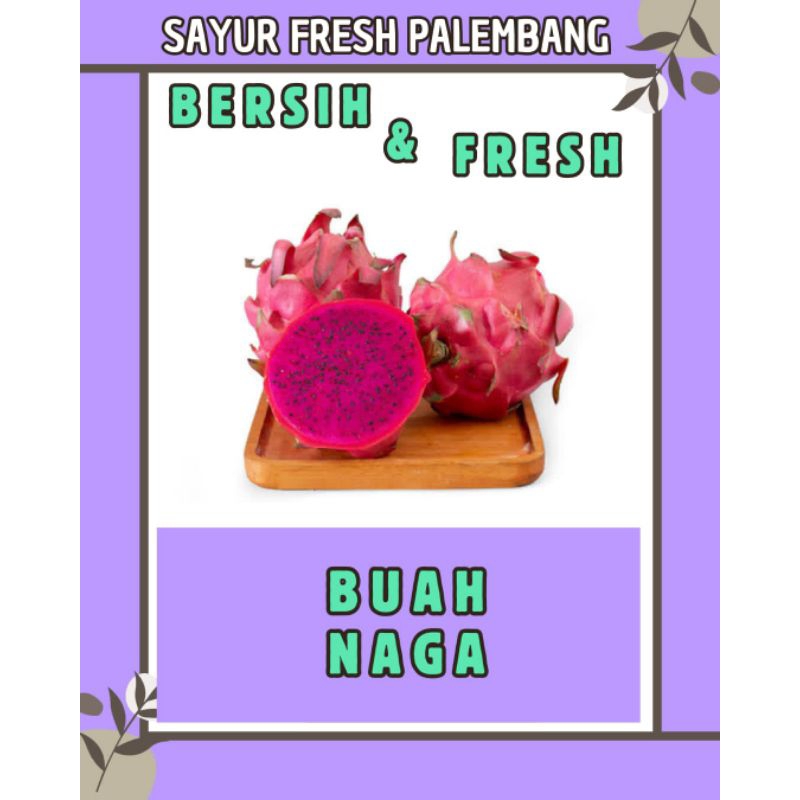 

BUAH NAGA MERAH FRESH & BERSIH - PALEMBANG