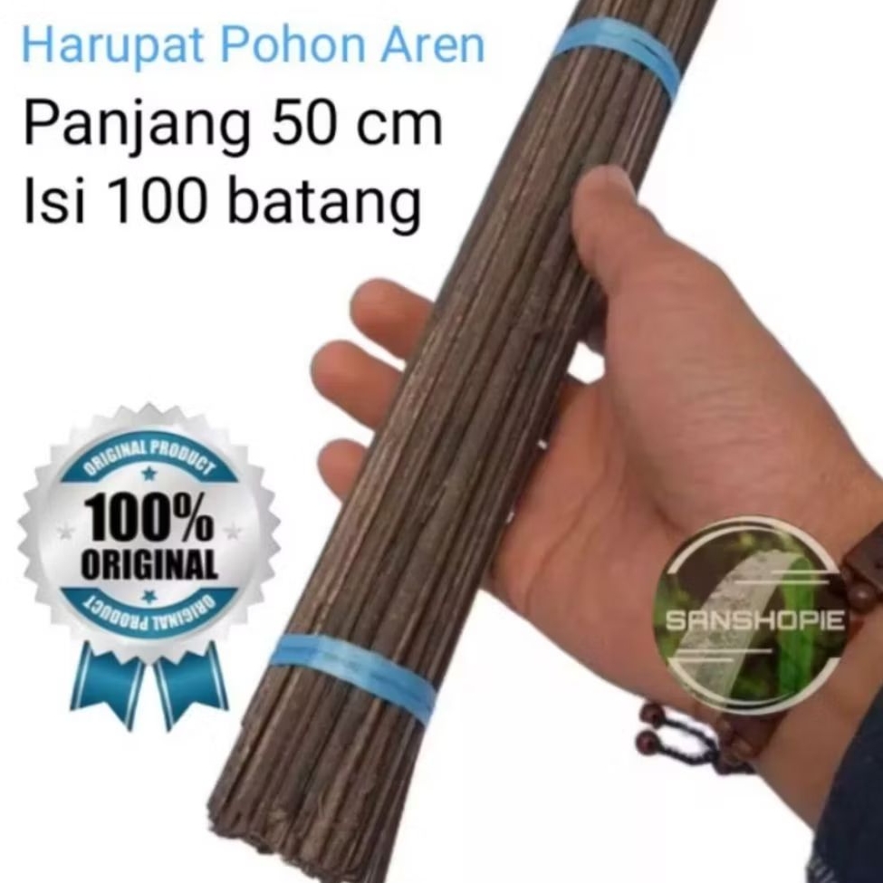 Harupat kawung lidi aren lidi ijuk kering 100 batang P 50 cm