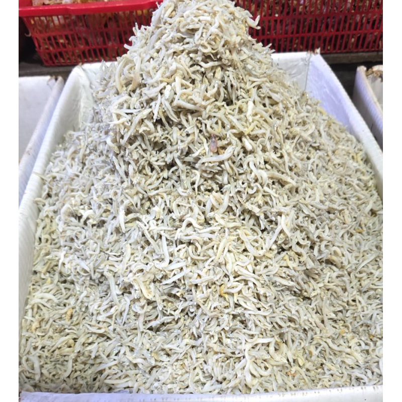 

Teri Mie Lokal