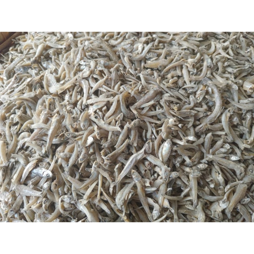 

ikan teri