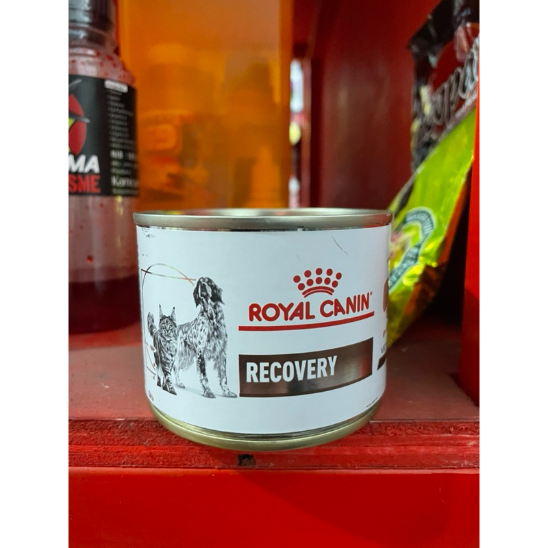 royal canin recovery 195gram makanan anjing kucing royal canin kaleng