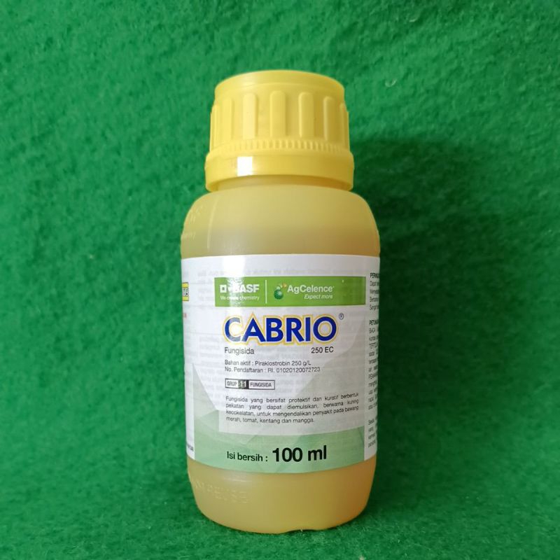 CABRIO 250EC 100ml