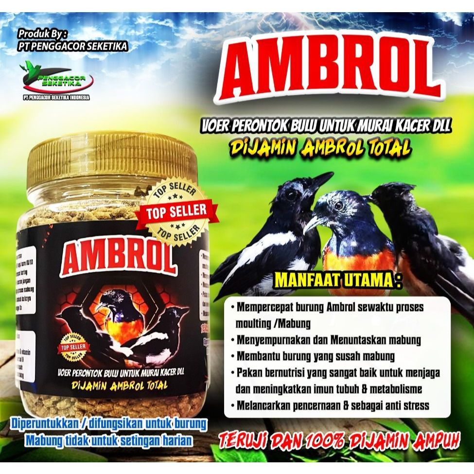 AMBROL VOER PERONTOK BULU UNTUK BURUNG MURAI KACER DLL DIJAMIN AMBROL TOTAL