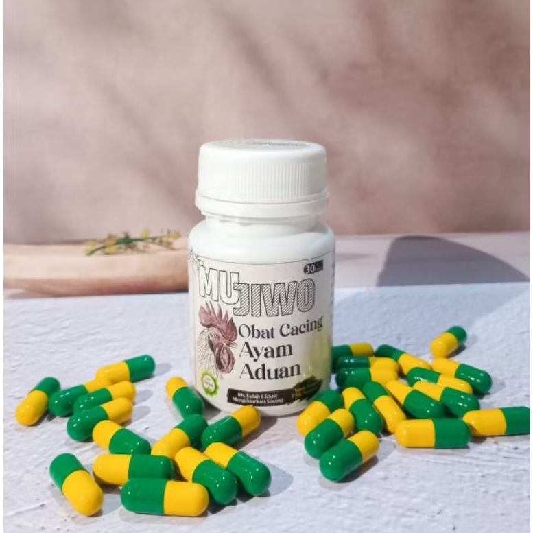 OBAT CACING AYAM ADUAN || SANGAT EFEKTIF CACING LANGSUNG KELUAR || OBAT CACING MUJIWO