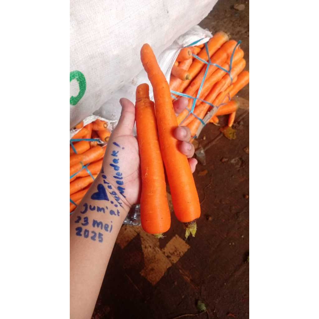 

Wortel Lokal Bungas 1 Kg