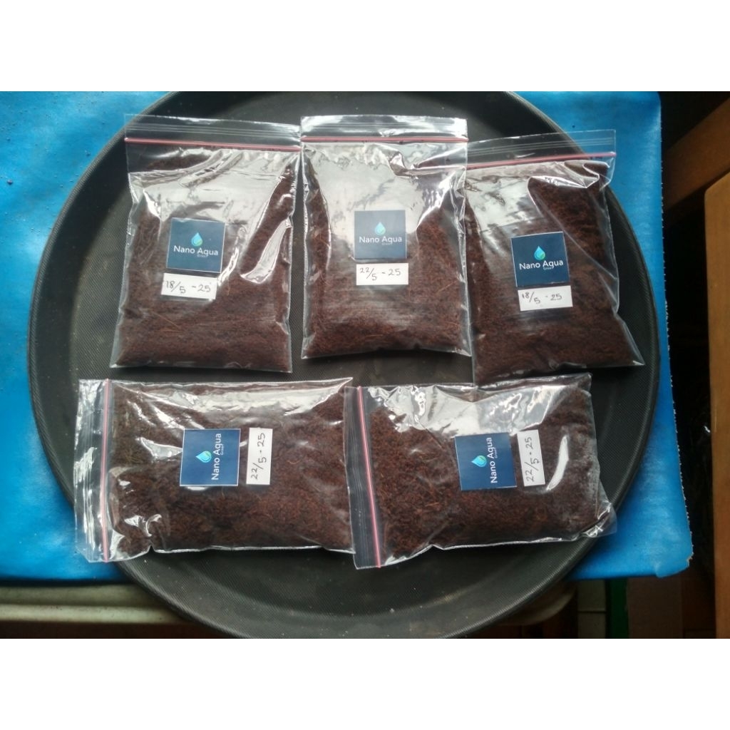 Telur killifish guentheri red masa inkubasi 1 bulan isi 50 butir