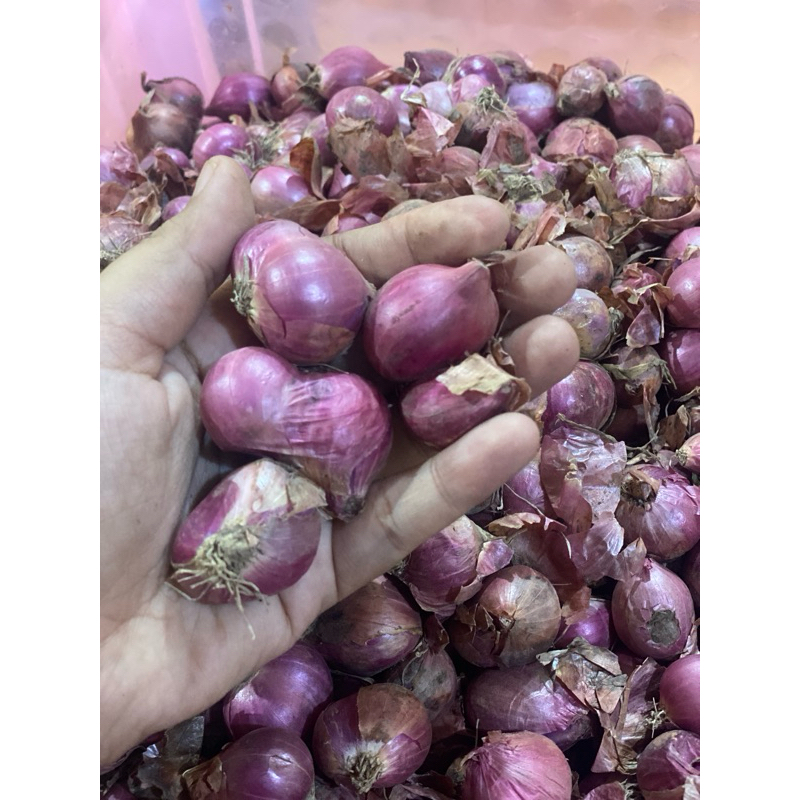 

Bawang merah 250gram