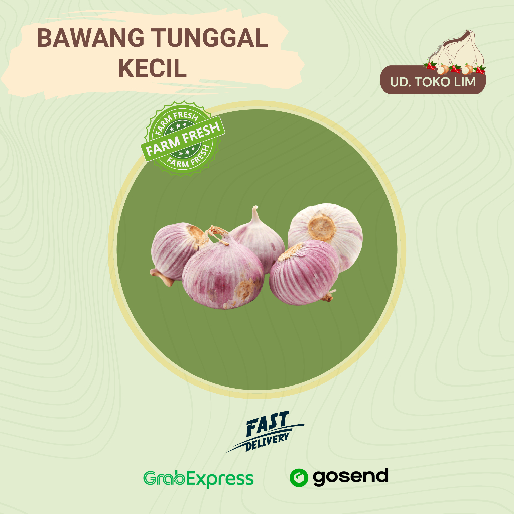 

Bawang Putih Tunggal/Bawang Lanang Kecil - Fresh & Berkualitas