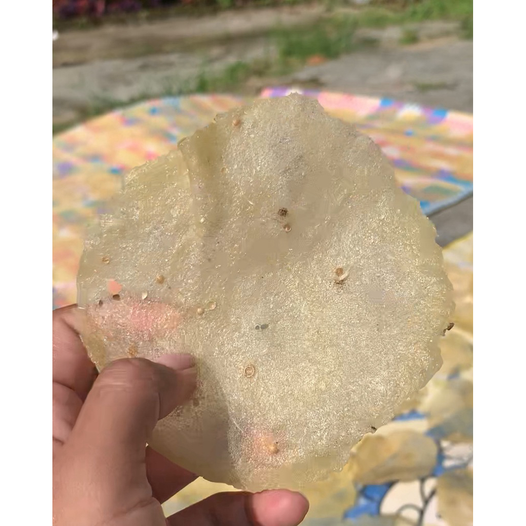 

enye-enye 100% singkong asli