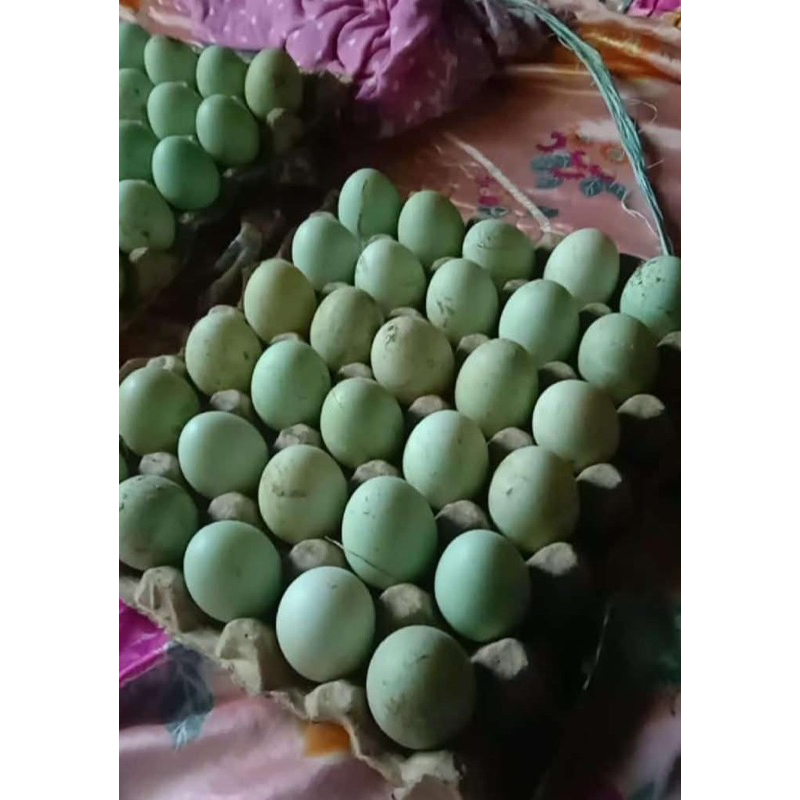

Telur Bebek Mentah Segar 1tray 30pcs