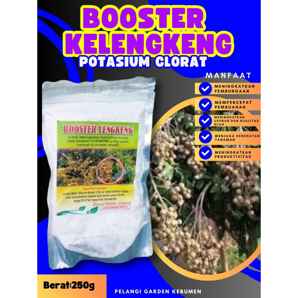TERBAIK  Boster Kelengkeng Aroma Durian