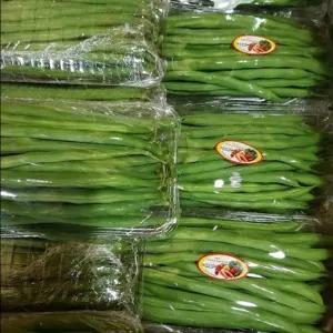 

BABY BUNCIS SUPER PAK