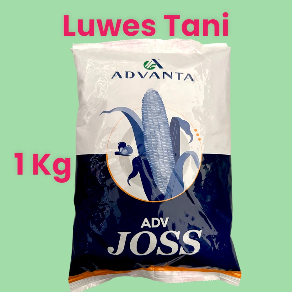 Benih Jagung ADV JOSS 313 Hibrida 1kg Advanta Seed KODE H1N1