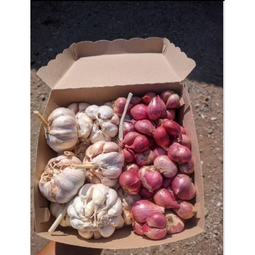 

paket campur ¼ bamer dan ¼ baput