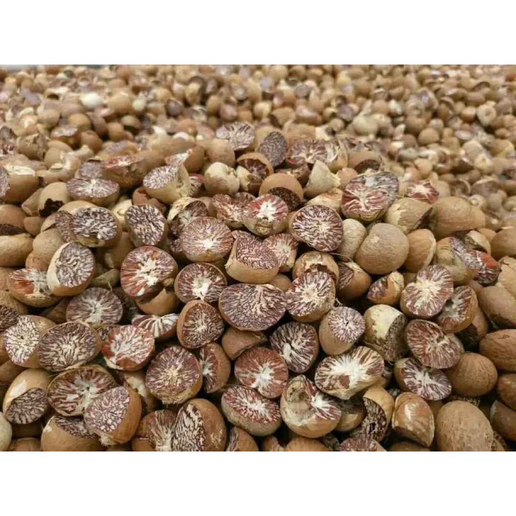 

BUAH PINANG KERING BELAH BANYAK MANFAAT