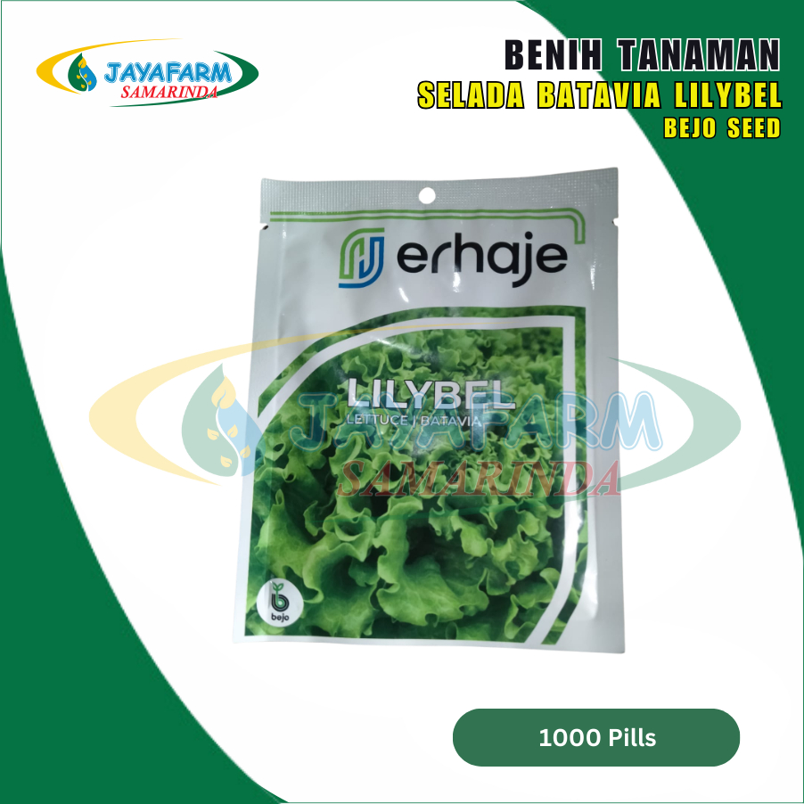Benih Bibit Tanaman Sayur Selada Batavia Lilybel 1000 Pills - Bejo Seed