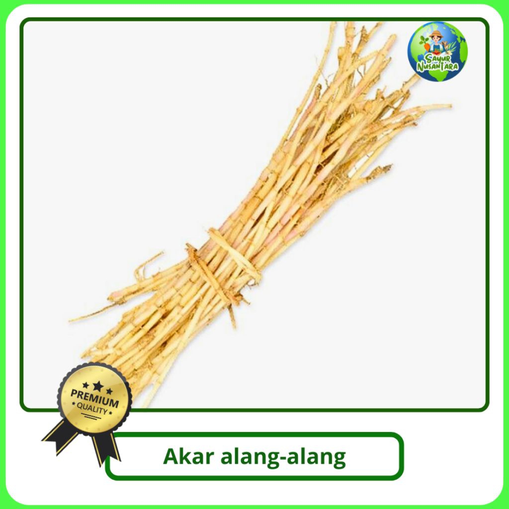 

Akar Alang-alang fresh [500g/1 kg] Termurah bisa COD