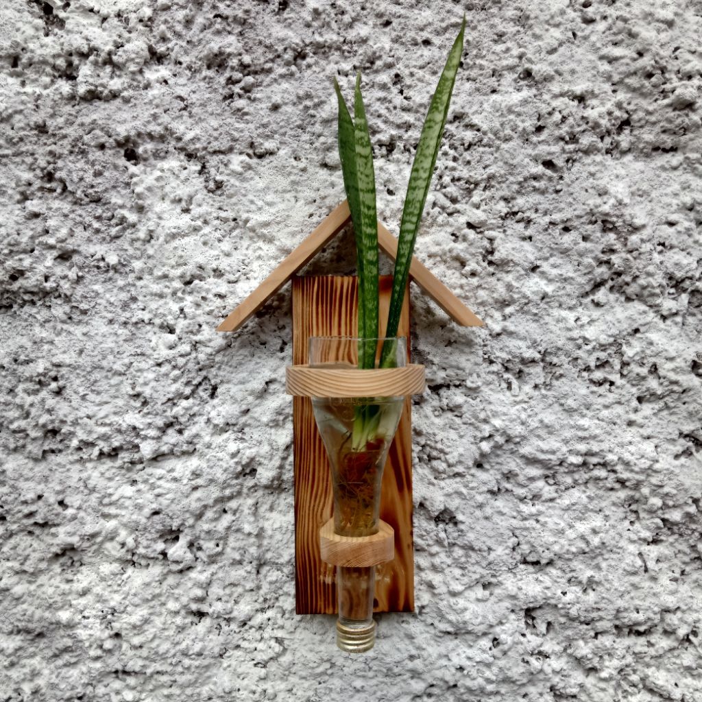 Vas Pot Botol Kaca Tanaman Air Hidroponik Walldecor