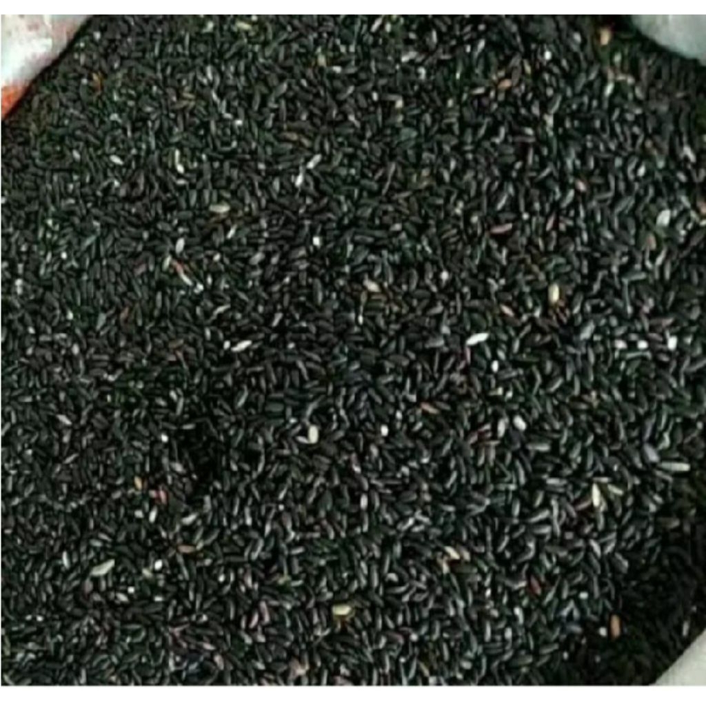 

Beras Ketan Hitam Kuliatas terbaik 1000 Gr/Kg Super