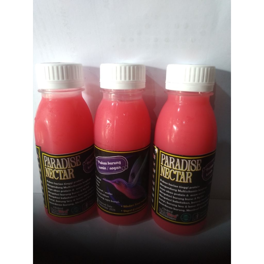 paradise nektar pakan burung konin dan sogon