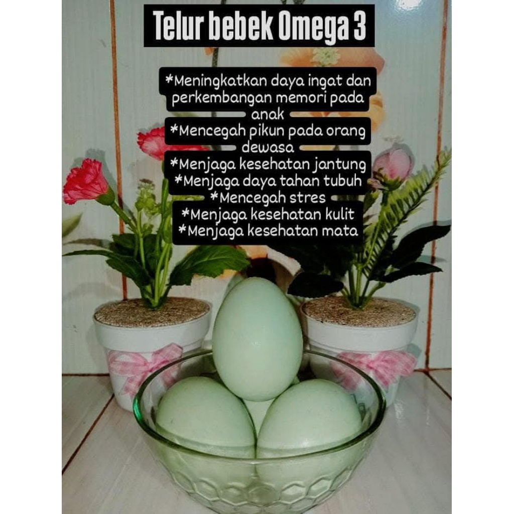 

Telur bebek Omega ukuran B
