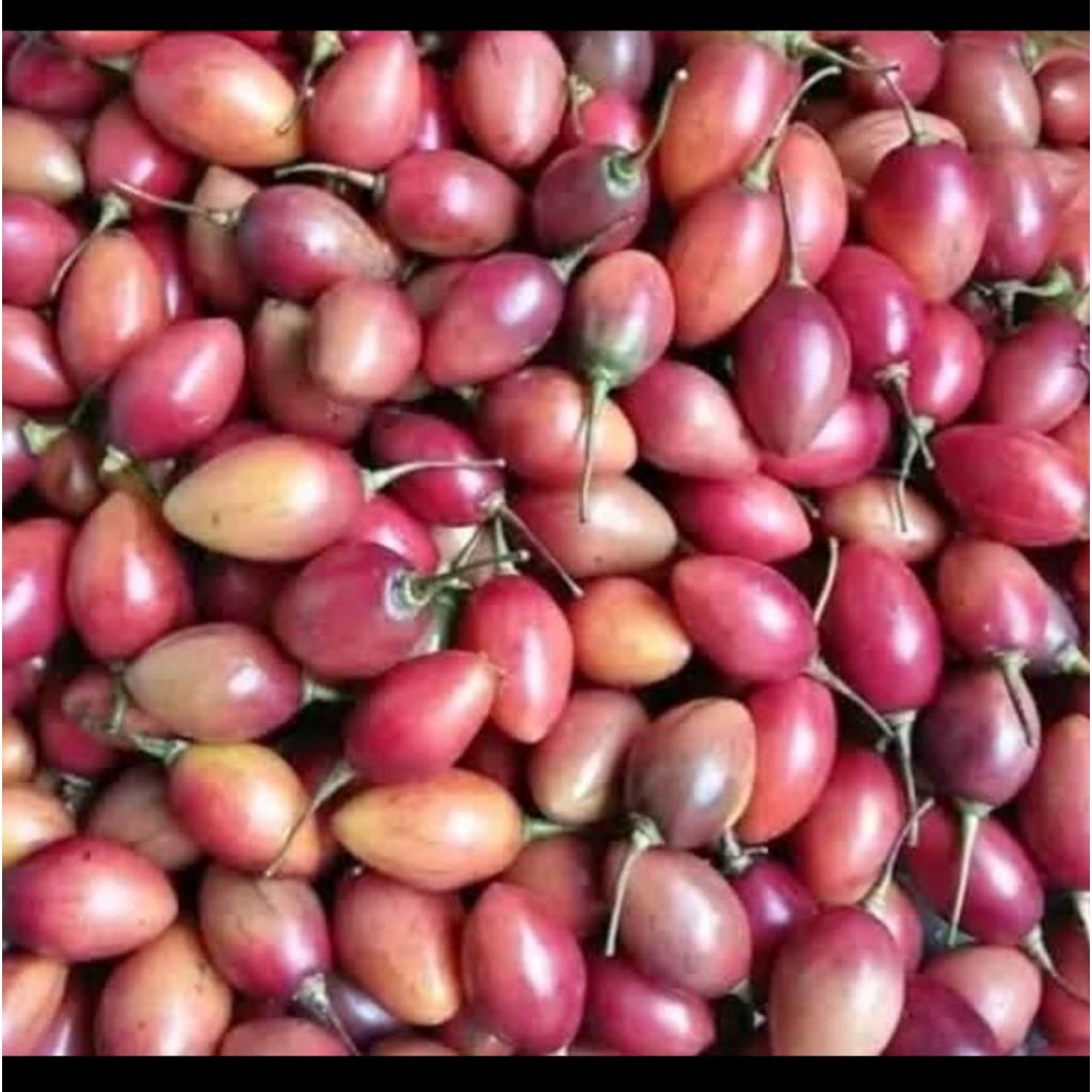 

Terong Belanda segar 1kg