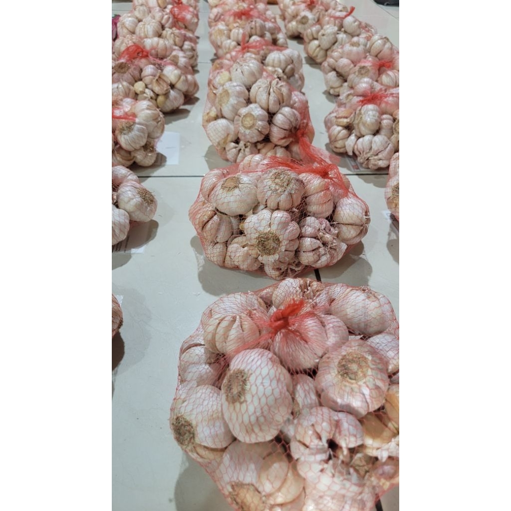 

Bawang putih 1kg fresh dan bersih