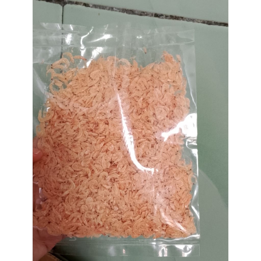 

udang rebon/rebon /udang kecil